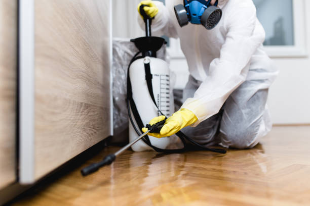 Best Termite Control Services  in Coyne Center, IL